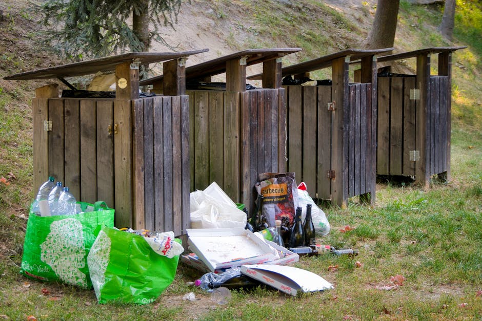 Crystal Palace Park rubbish pickup rules for Sydenham events