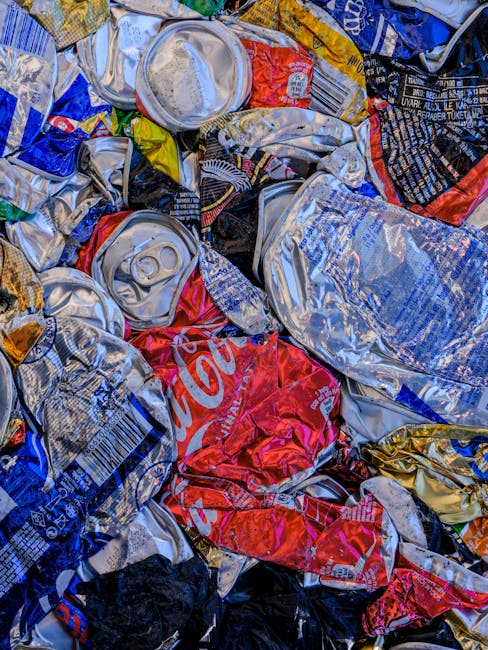 What to know about delays in Sydenham rubbish collection